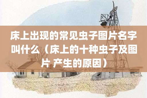 床上出现的常见虫子图片名字叫什么（床上的十种虫子及图片 产生的原因）