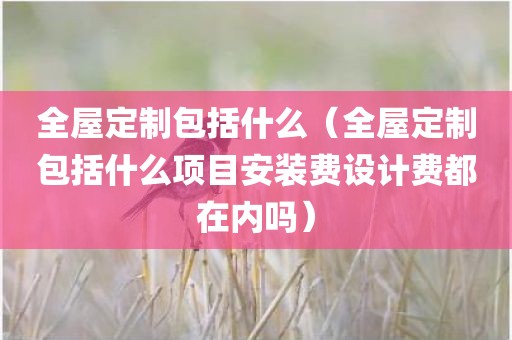 全屋定制包括什么（全屋定制包括什么项目安装费设计费都在内吗）