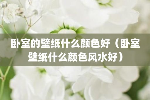 卧室的壁纸什么颜色好(卧室壁纸什么颜色风水好)