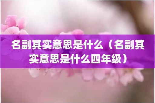 名副其实意思是什么（名副其实意思是什么四年级）