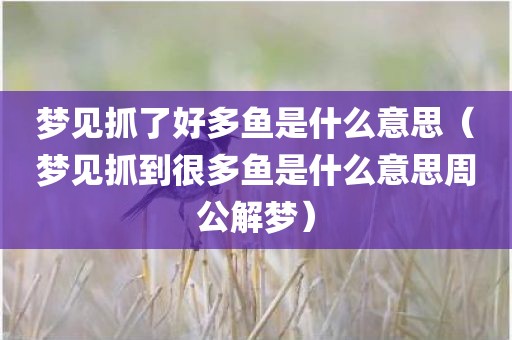 梦见抓了好多鱼是什么意思(梦见抓到很多鱼是什么意思周公解梦) 梦见抓了好多鱼是什么意思(梦见抓到很多鱼是什么意思周公解梦)