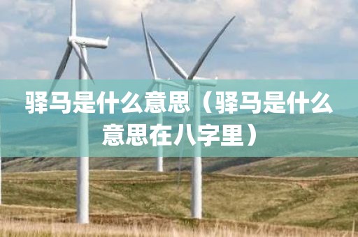 驿马是什么意思（驿马是什么意思在八字里）