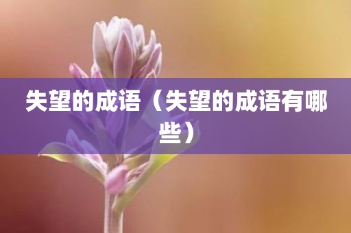 失望的成语(失望的成语有哪些)