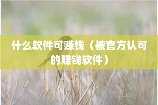 什么软件可赚钱（被官方认可的赚钱软件）