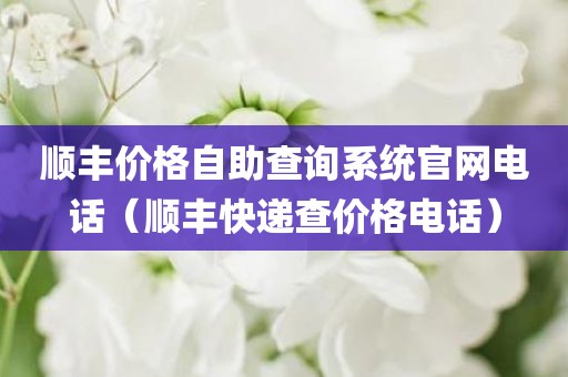顺丰价格自助查询系统官网电话（顺丰快递查价格电话）