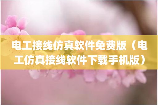电工接线仿真软件免费版(电工仿真接线软件下载手机版)