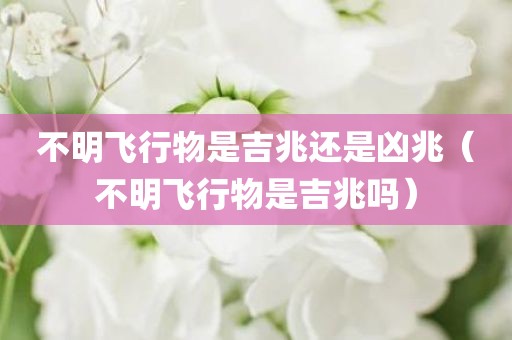 不明飞行物是吉兆还是凶兆（不明飞行物是吉兆吗）
