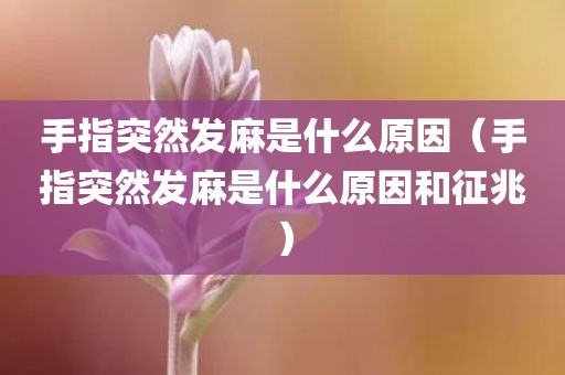 手指突然发麻是什么原因（手指突然发麻是什么原因和征兆）