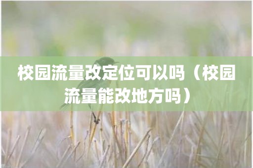 校园流量改定位可以吗（校园流量能改地方吗）