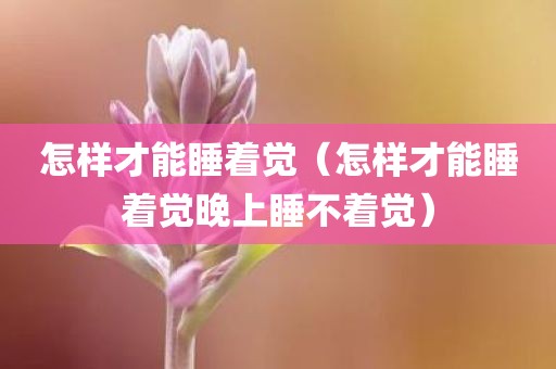 怎样才能睡着觉（怎样才能睡着觉晚上睡不着觉）