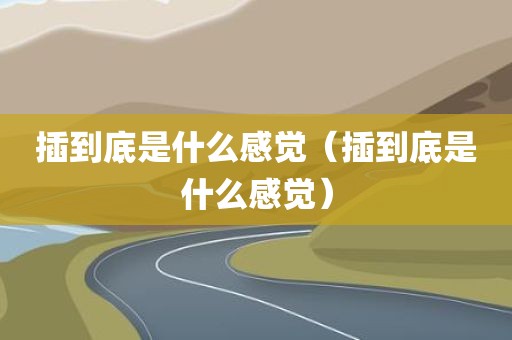 插到底是什么感觉(插到底是什么感觉)