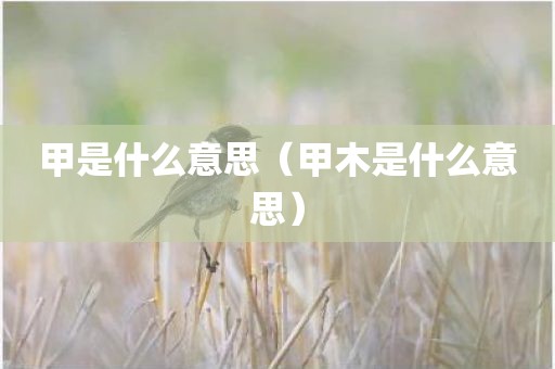 甲是什么意思（甲木是什么意思）