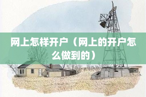 网上怎样开户（网上的开户怎么做到的）