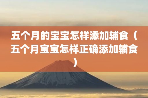 五个月的宝宝怎样添加辅食（五个月宝宝怎样正确添加辅食）