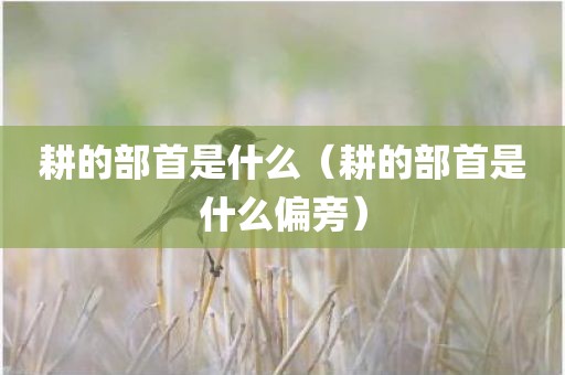 耕的部首是什么（耕的部首是什么偏旁）
