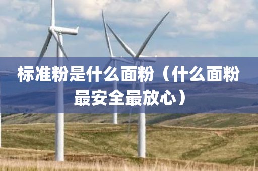 标准粉是什么面粉（什么面粉最安全最放心）