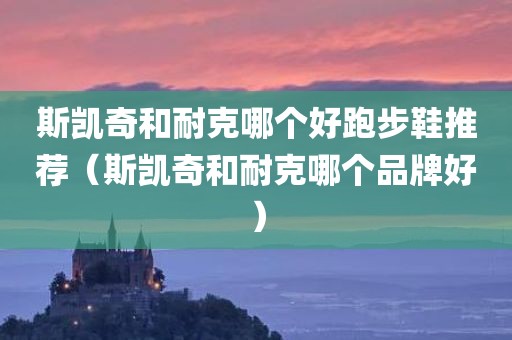 斯凯奇和耐克哪个好跑步鞋推荐（斯凯奇和耐克哪个品牌好）