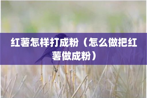 红薯怎样打成粉（怎么做把红薯做成粉）