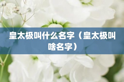 皇太极叫什么名字（皇太极叫啥名字）