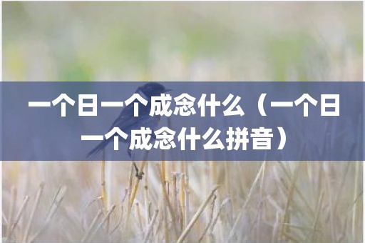 一个日一个成念什么（一个日一个成念什么拼音）