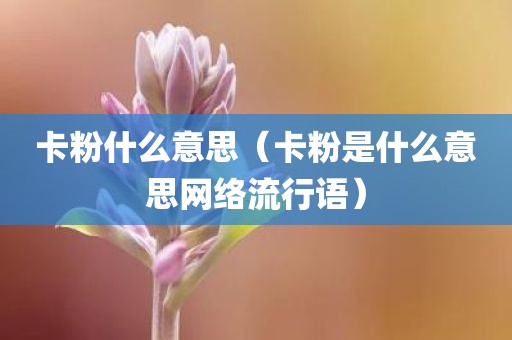 卡粉什么意思（卡粉是什么意思网络流行语）