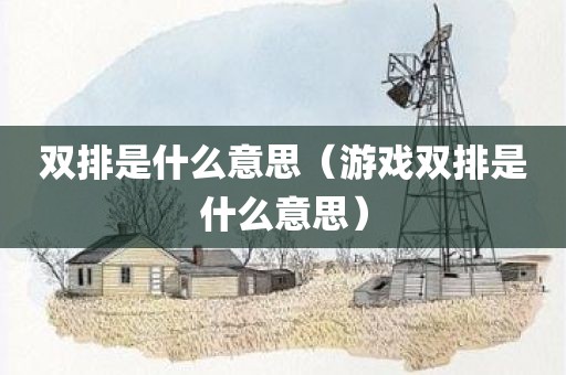 双排是什么意思（游戏双排是什么意思）