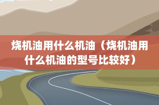 烧机油用什么机油(烧机油用什么机油的型号比较好)