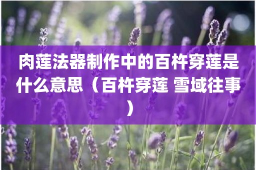 肉莲法器制作中的百杵穿莲是什么意思（百杵穿莲 雪域往事）