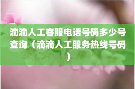 滴滴人工客服电话号码多少号查询(滴滴人工服务热线号码) 滴滴人工客服电话号码多少号查询(滴滴人工服务热线号码)