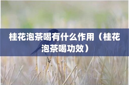 桂花泡茶喝有什么作用（桂花泡茶喝功效）