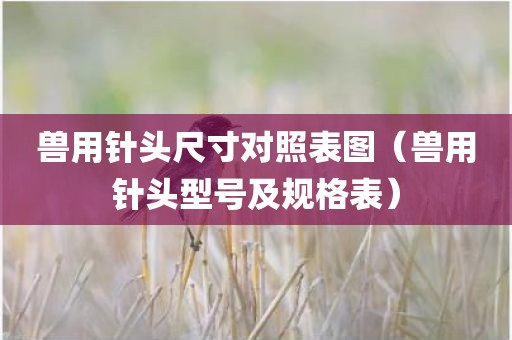 兽用针头尺寸对照表图（兽用针头型号及规格表）