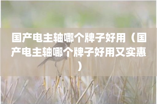 国产电主轴哪个牌子好用（国产电主轴哪个牌子好用又实惠）