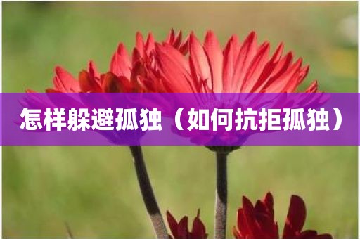 怎样躲避孤独（如何抗拒孤独）