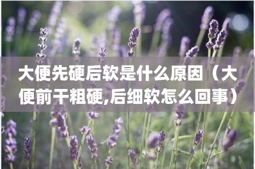 大便先硬后软是什么原因（大便前干粗硬,后细软怎么回事）
