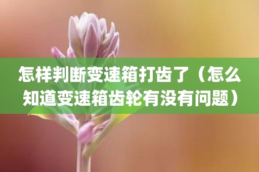 怎样判断变速箱打齿了（怎么知道变速箱齿轮有没有问题）