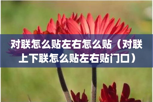 对联怎么贴左右怎么贴（对联上下联怎么贴左右贴门口）