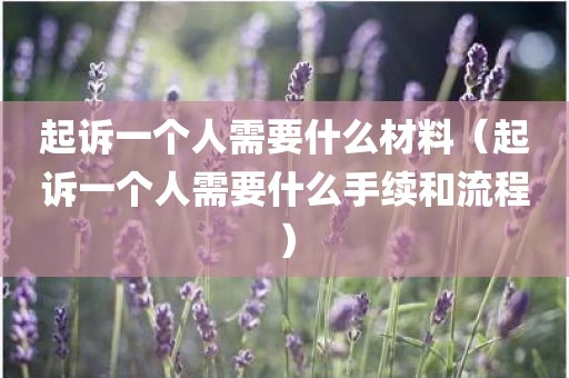 起诉一个人需要什么材料（起诉一个人需要什么手续和流程）