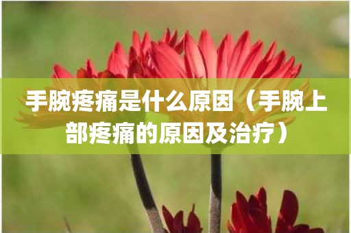 手腕疼痛是什么原因（手腕上部疼痛的原因及治疗）