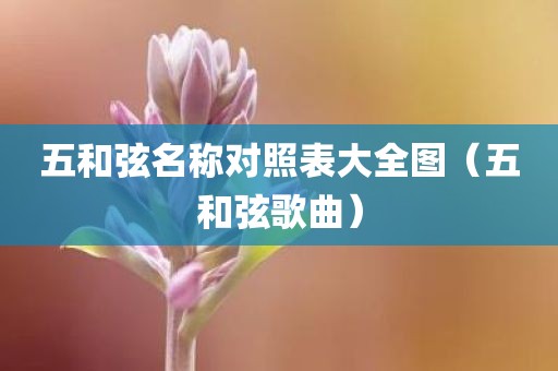 五和弦名称对照表大全图（五和弦歌曲）