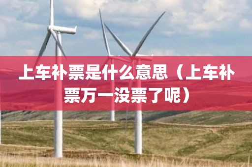 上车补票是什么意思（上车补票万一没票了呢）