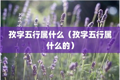 孜字五行属什么（孜字五行属什么的）