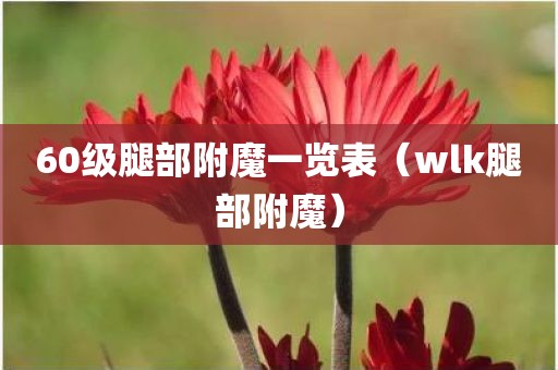 60级腿部附魔一览表（wlk腿部附魔）