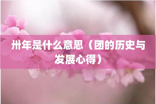 卅年是什么意思（团的历史与发展心得）