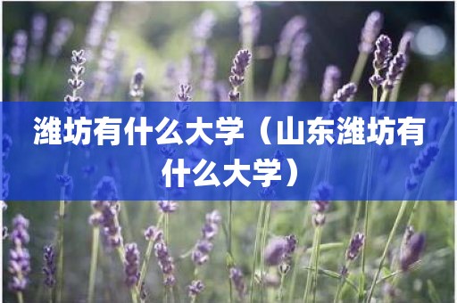 潍坊有什么大学(山东潍坊有什么大学) 潍坊有什么大学(山东潍坊有什么大学)