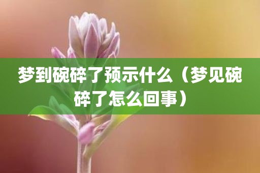 梦到碗碎了预示什么（梦见碗碎了怎么回事）