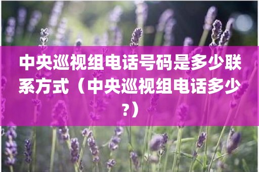 中央巡视组电话号码是多少联系方式(中央巡视组电话多少?) 中央巡视组电话号码是多少联系方式(中央巡视组电话多少?)