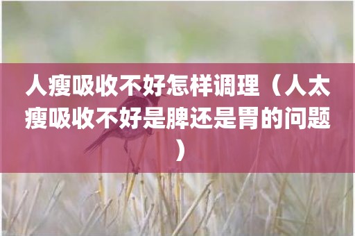 人瘦吸收不好怎样调理（人太瘦吸收不好是脾还是胃的问题）