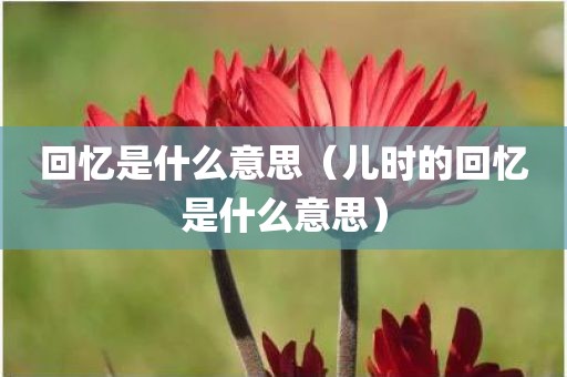 回忆是什么意思（儿时的回忆是什么意思）