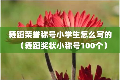 舞蹈荣誉称号小学生怎么写的（舞蹈奖状小称号100个）