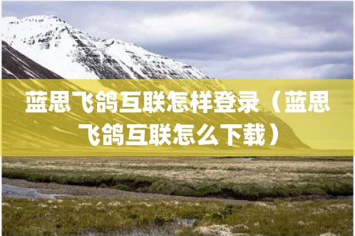 蓝思飞鸽互联怎样登录（蓝思飞鸽互联怎么下载）